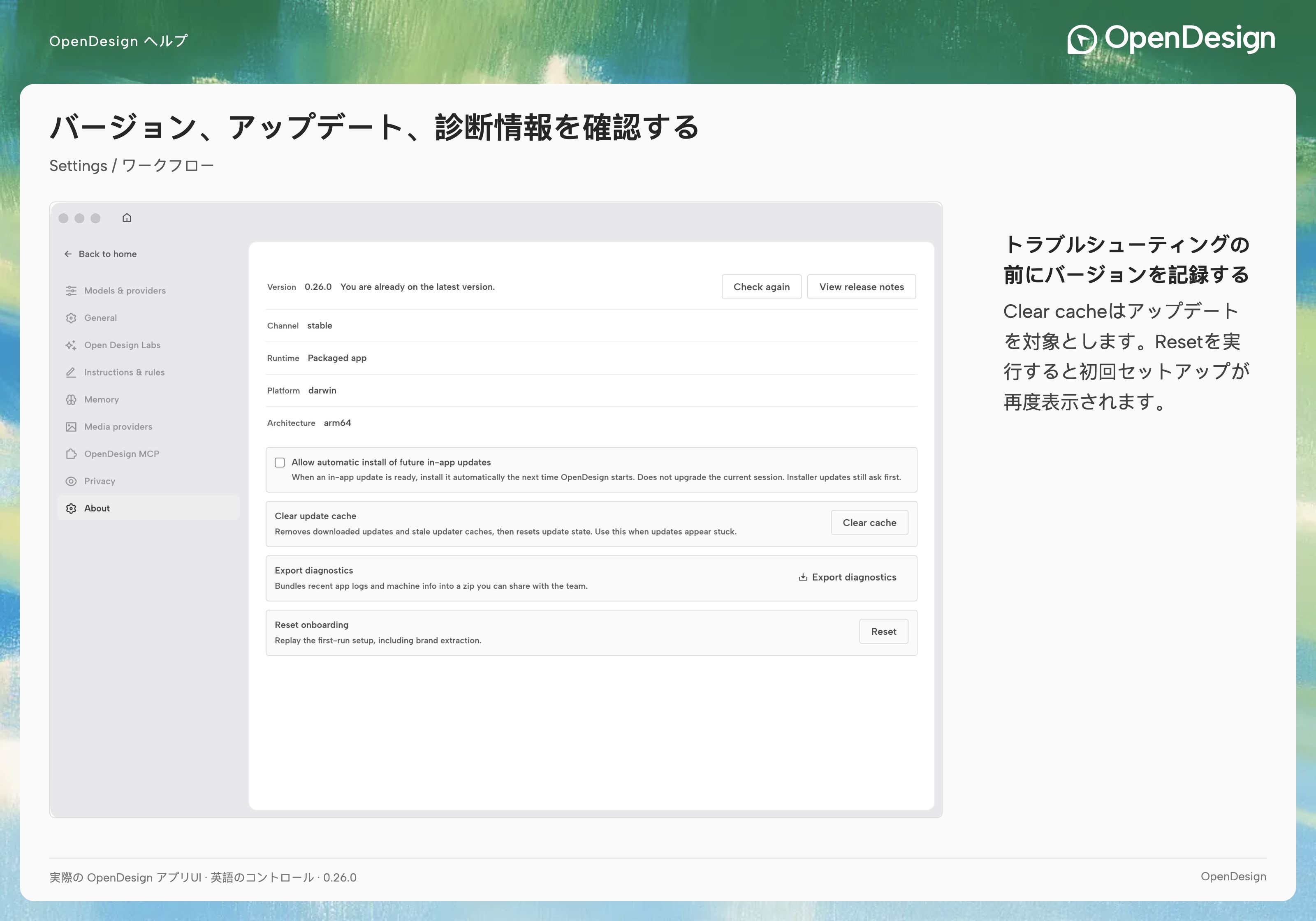 バージョン情報、アップデート操作、診断機能を含むAbout
