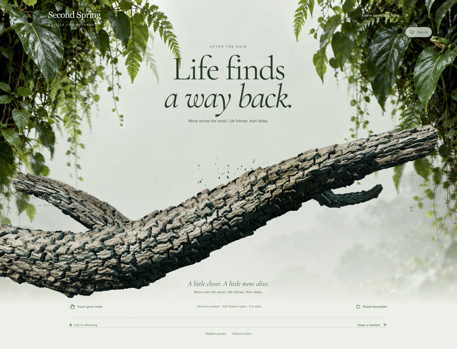 Second Spring forest restoration website hero with a fallen tree beneath a green canopy