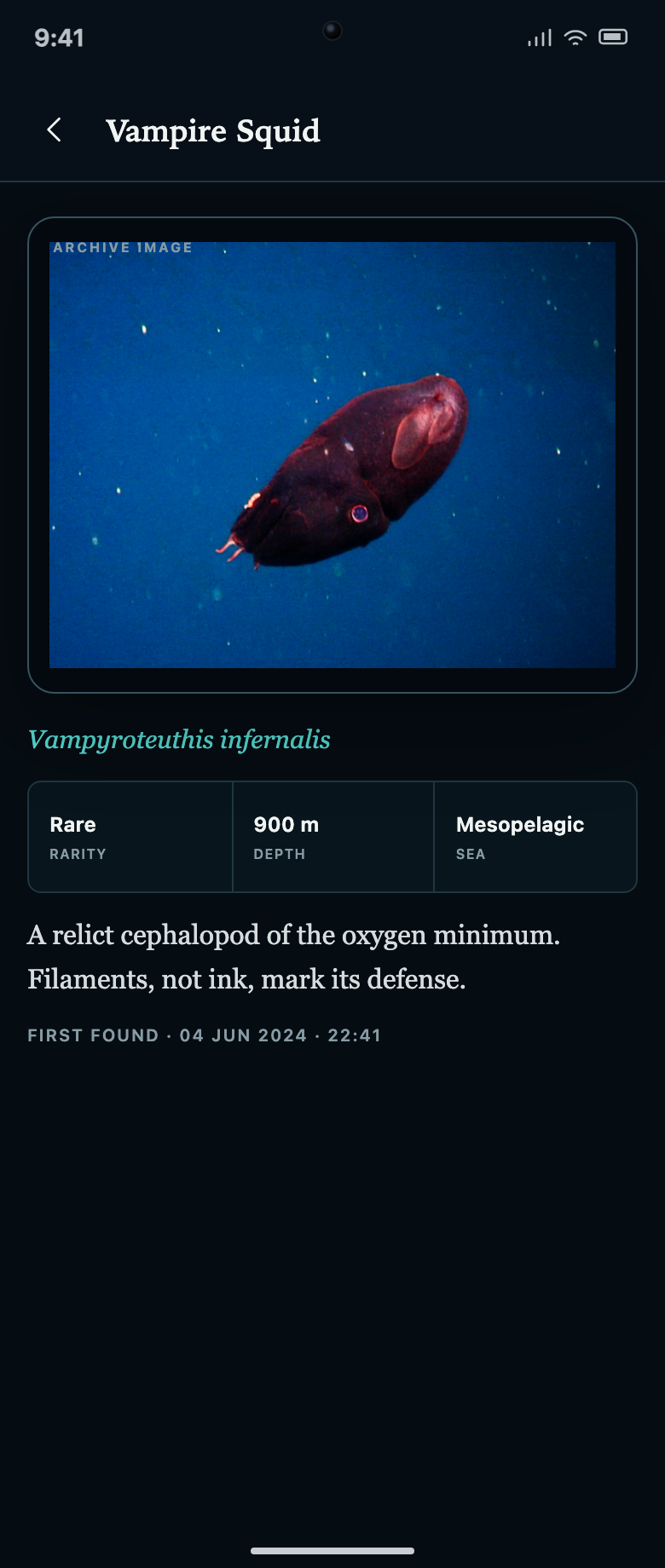 Complete Vampire Squid detail record showing the archive image, teal Latin name, three-column metadata row with Rarity / Depth / Sea zone, biological description, and timestamped first-found line.