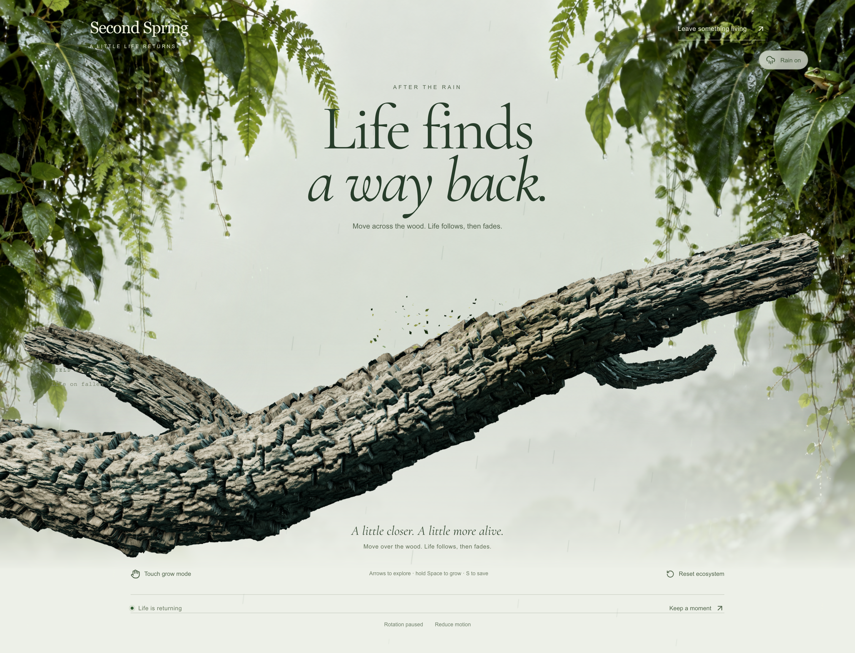 Forest Restoration Website Design: Complete Forest Introduction and Living Log