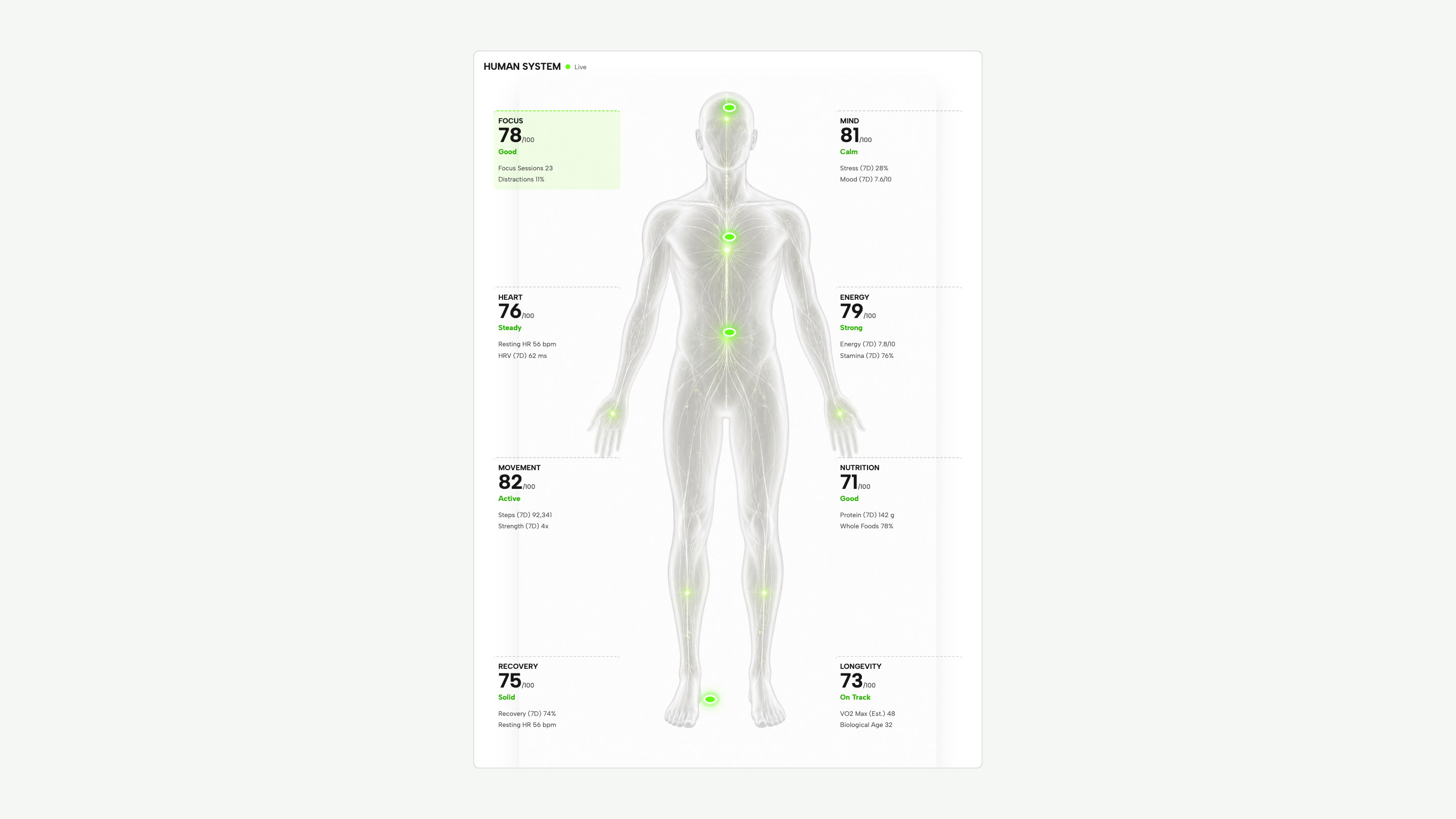 Panel de Life System: Sistema humano · detalle